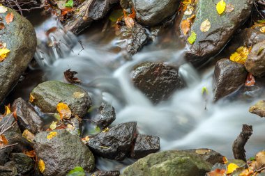 güzel sonbahar creek küçük bir çağlayan ile