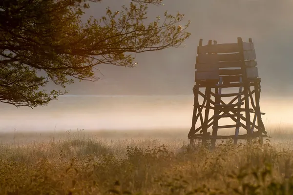 Hunting hide — Stock Photo, Image