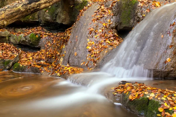 Beautiful autumn creek with a little cascade — Stock Photo, Image