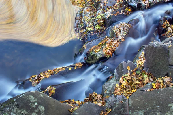 Güzel sonbahar creek küçük bir çağlayan ile — Stok fotoğraf