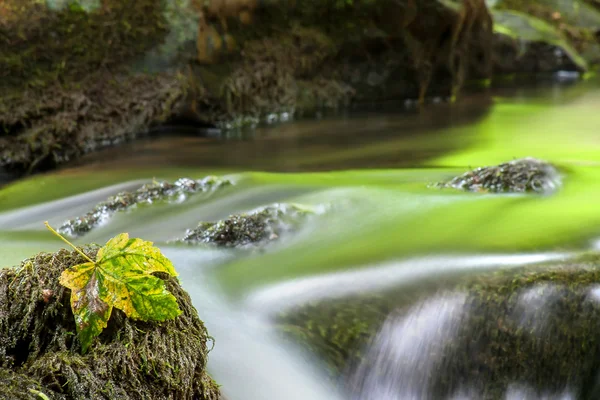 Mountain Stream in the Autumn — Stock Photo, Image