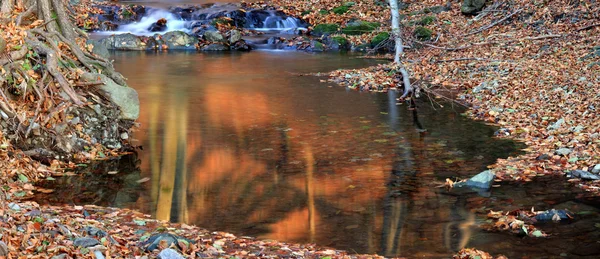 Φθινοπωρινό τοπίο με δέντρα και ποτάμι — Φωτογραφία Αρχείου