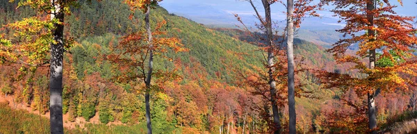 Höstens bergslandskap. — Stockfoto