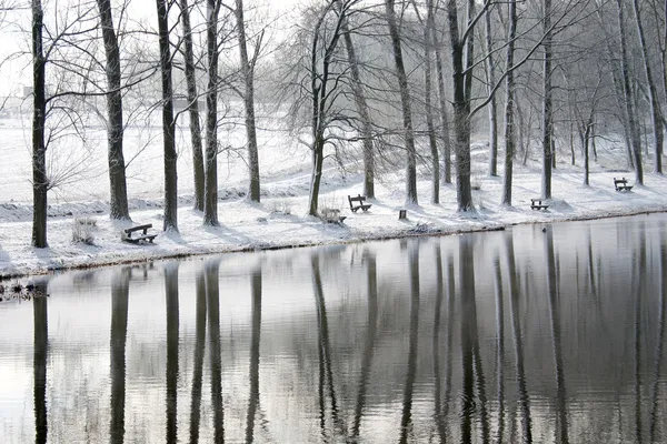 Paisaje de invierno con reflexión - foto de stock . — Foto de Stock