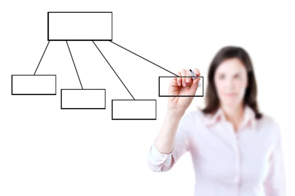 Jonge zakenvrouw tekening een stroomdiagram, witte achtergrond. Rechtenvrije Stockafbeeldingen