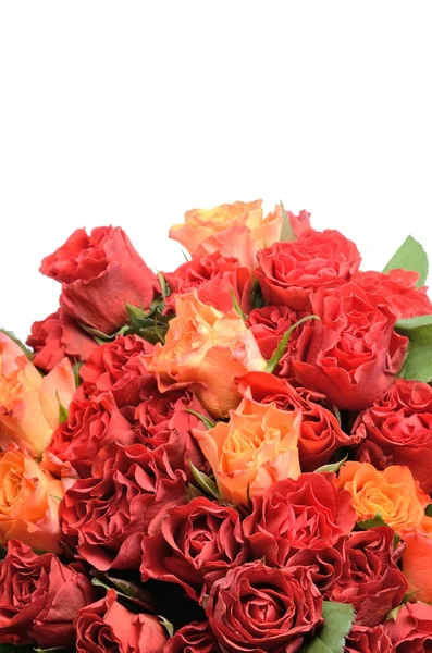 Mooie bloemen van rode en oranje rozen — Stockfoto