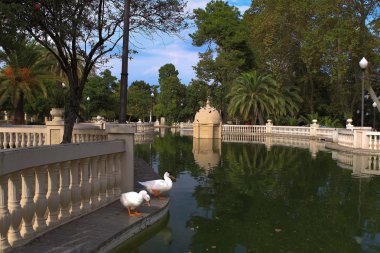 Şehir park su birikintisi ile