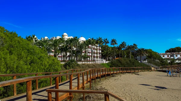 Walking the road to the beach — Stock Photo, Image