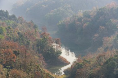 Sonbaharda kırmızı akçaağaç ağaçlarıyla Cao Bang 'deki Viet Gölü' nü yasaklayın.