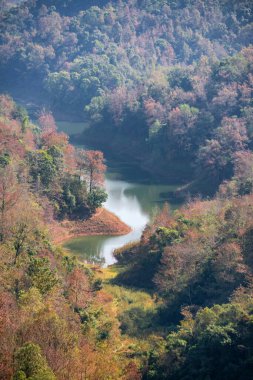 Sonbaharda kırmızı akçaağaç ağaçlarıyla Cao Bang 'deki Viet Gölü' nü yasaklayın.