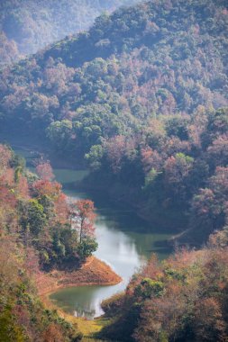 Sonbaharda kırmızı akçaağaç ağaçlarıyla Cao Bang 'deki Viet Gölü' nü yasaklayın.