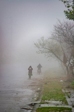 HA devi, VİETNAM - 4 Şubat 2022 Hmong çocukları Dong Van, Ha Giang, Vietnam dağlarında