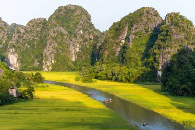Sarı pirinç alan üzerinde Tam Coc Bich Dong sivil toplum örgütü Dong nehirde dağ üst görünümden içinde Ninh Binh Eyaleti Viet Nam