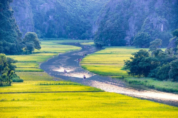 マウンテン トップ ビュー ベトナムのニンビン省から Tam Coc Bich Dong Ngo 洞川に黄色い田んぼ — ストック写真