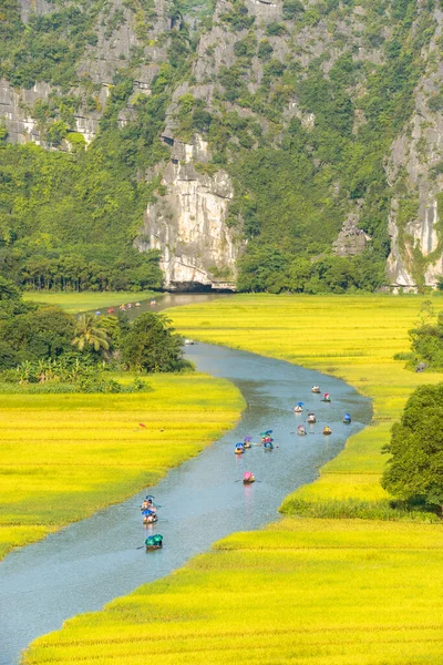 マウンテン トップ ビュー ベトナムのニンビン省から Tam Coc Bich Dong Ngo 洞川に黄色い田んぼ — ストック写真