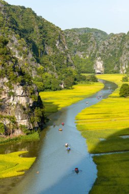 Sarı pirinç alan üzerinde Tam Coc Bich Dong sivil toplum örgütü Dong nehirde dağ üst görünümden içinde Ninh Binh Eyaleti Viet Nam