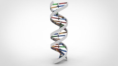DNA çift sarmalı - beyaz katı - cam nükleotitler