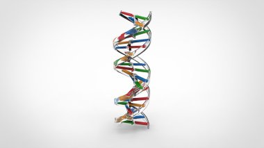 DNA çift sarmalı - şeffaf
