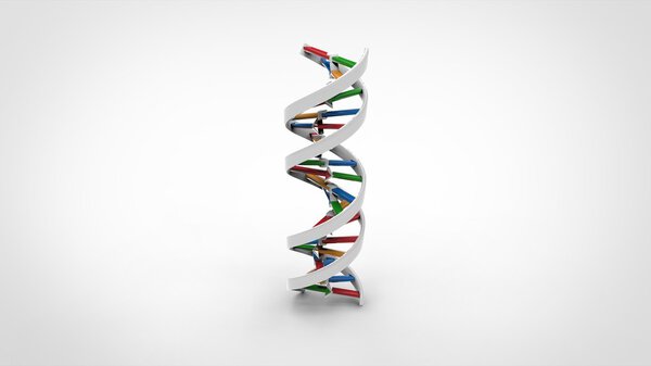 DNA double helix - White Solid