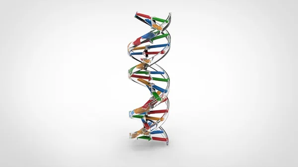 DNA dupla hélice - Transparente — Fotografia de Stock