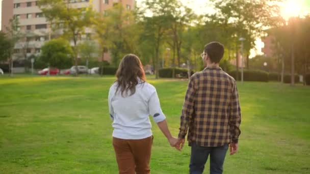 Günbatımında parkta sırt sırta yürüyen eşcinsel çift. — Stok video