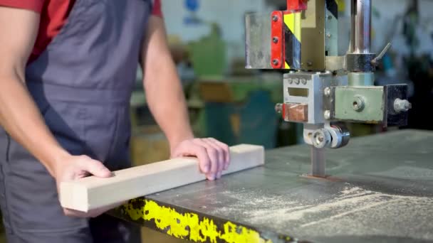 Pieza de madera de corte de carpintero de cultivos en el banco de trabajo — Vídeos de Stock