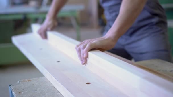 Pengrajin perkebunan mengayunkan papan kayu di bengkel — Stok Video