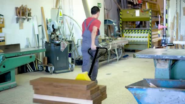 Carpintero por detrás tirando del tronco de la paleta en taller ligero — Vídeos de Stock