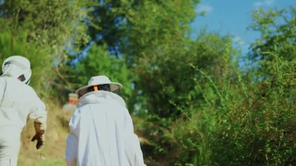 Arı Kovanına Doğru Yürüyen Iki Koruma Arıcısının Arka Görüntüsü — Stok video