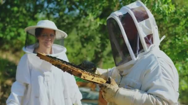 Beekeeper Holding Honeycomb Full Bees Next His Assistant — Stock Video