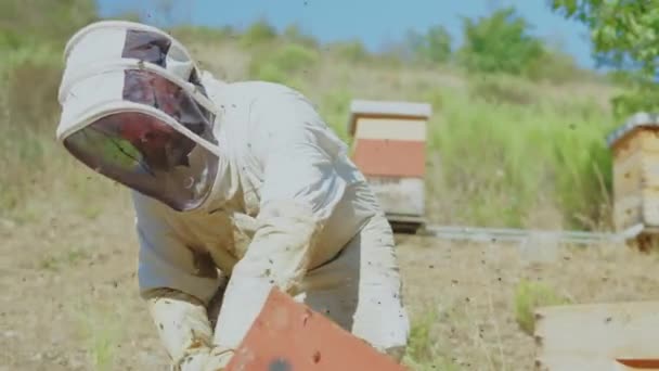 Muž Včelař Ochrannými Oděvy Pracující Úlu Mnoha Včelami Kolem Sebe — Stock video