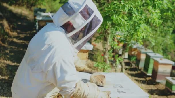 Dos Apicultores Con Ropa Protectora Abriendo Colmenar Campo — Vídeos de Stock