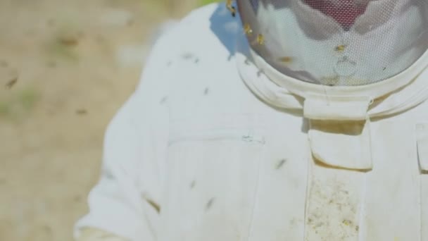 Detail Ochranných Oděvů Nerozpoznatelného Včelaře Obklopeného Včelami Kteří Kolem Něj — Stock video
