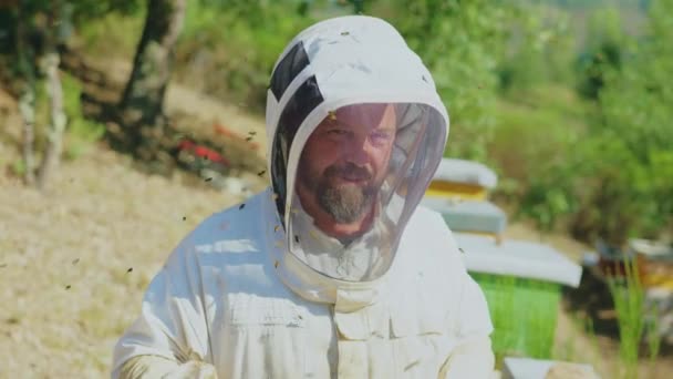 Видео Зумом Пчеловода Окружении Множества Пчел Поле — стоковое видео