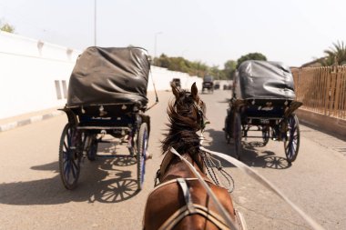 At ve at arabası Edfu şehrindeki ıssız bir caddede koşuyor.