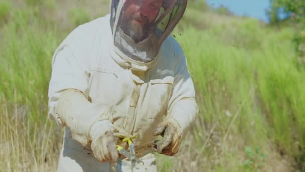 Kaukasischer Imker Mit Schutzkleidung Entfernt Eine Wabe Aus Einem Bienenstock — Stockvideo