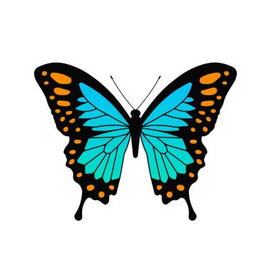 Güzel ve parlak mavi kelebeğin tasviri.