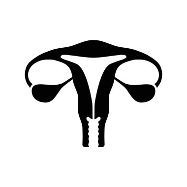 Illustration of uterus organ in flat style.