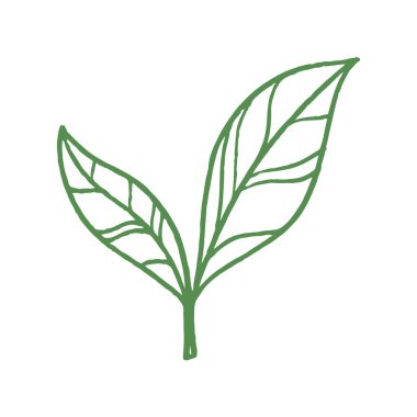 Yaprakların elle çizilmiş hali.