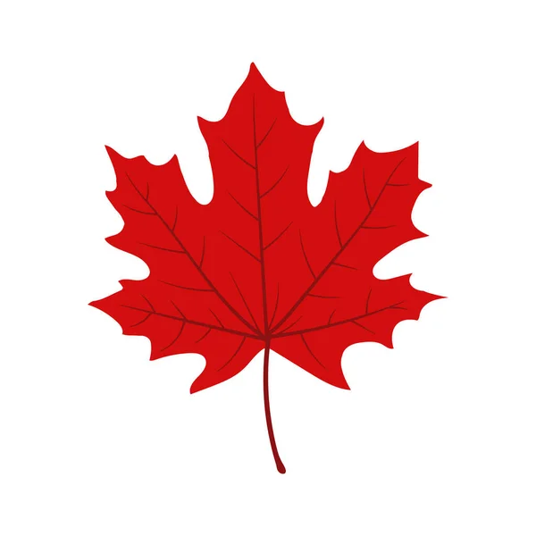 Illustration Maple Leaf Icon Flat Style — Stock Vector