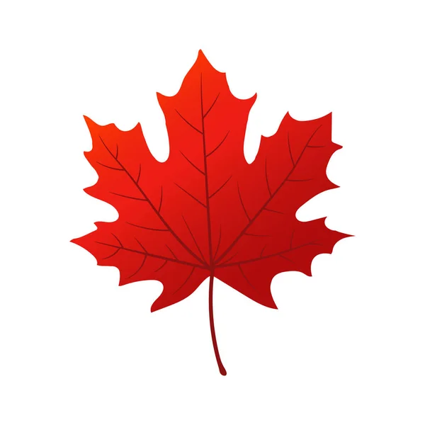 Illustration Red Maple Leaf Icon — Stock Vector