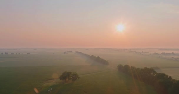 Paisaje rural de otoño por la mañana al amanecer con campo en una niebla — Vídeo de stock