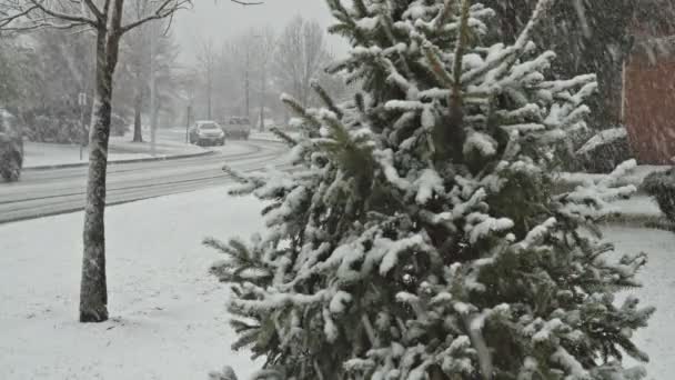 Vista de tormenta de invierno nevado día camino cubierto de nieve — Vídeo de stock