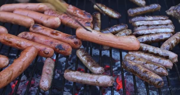 Delicious sausages sizzling over the coals on barbecue grill — Stock Video