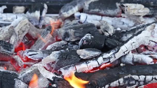 Гриль порожній чорний барбекю з вогняними грилями яскравий полум'я гриль, готовий до приготування їжі — стокове відео