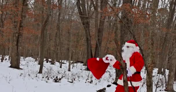 Onderweg draagt de Kerstman kerstcadeautjes in het winterbos — Stockvideo