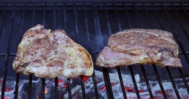 Varkenssteaks grillen met gebakken kolen op ijzeren grill — Stockvideo