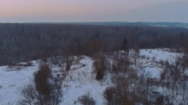 Panorama des montagnes hivernales couvertes de neige parmi les Carpates — Video