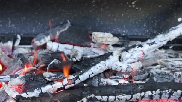 Chama de fogo aberta uma grelha pronta para cozinhar comida — Vídeo de Stock