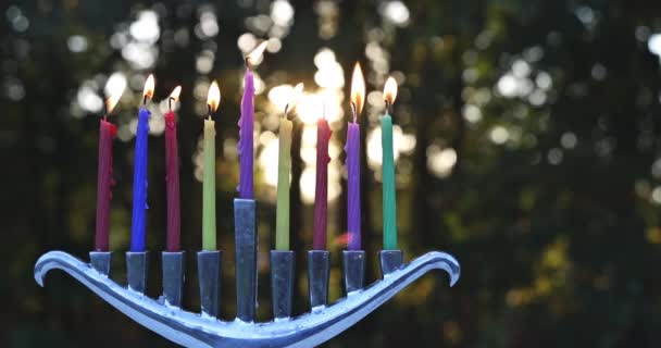 Еврейский праздник огней праздничный символ Ханука менора в Ханукии на свечах — стоковое видео
